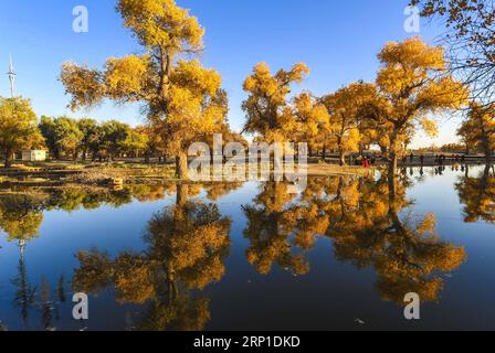 (180628) -- BEIJING, June 28, 2018 -- Photo taken on Oct. 13, 2017 shows the trees of populus euphratica trees in Ejin Banner, north China s Inner Mongolia Autonomous Region. Comprehensive progress has been made since the report delivered at the 18th National Congress of the Communist Party of China (CPC) in 2012 included ecological development as a major task in the country s overall plan and proposed building a beautiful China as a grand goal. ) (wyo)(zt) CHINA-ECOLOGICAL DEVELOPMENT-PROGRESS (CN) LixXiaoguo PUBLICATIONxNOTxINxCHN Stock Photo