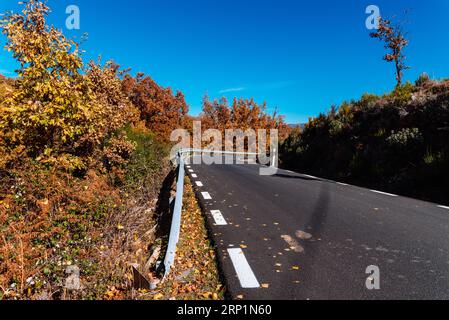Road through autumnal park in a beautiful sunny morning during fall. La Hiruela, Sierra del Rincon in Madrid Stock Photo