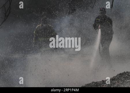 (180718) -- NAHAL OZ, July 18, 2018 -- Israeli firefighters attempt to extinguish a fire in a forest field near the Kibbutz of Nahal Oz, near the barrier between Israel and the Gaza Strip, on July 17, 2018. The fire was caused by inflammable material attached to a balloon flown by Palestinian protesters from inside Gaza Strip. ) (qxy) MIDEAST-NAHAL OZ-FIRE GilxCohenxMagen PUBLICATIONxNOTxINxCHN Stock Photo