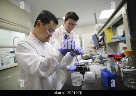 (180718) -- PENNSYLVANIA, July 18, 2018 -- Researchers work at the lab of the contract research organization (CRO) Frontage in Chester County in Pennsylvania, the United States, July 9, 2018. While U.S. President Donald Trump sees an economic enemy in China, the northeastern U.S. county of Chester in Pennylvania sees an economic partner. TO GO WITH Feature: U.S. partnerships with China mushroom despite trade frictions ) (zcc) U.S.-PENNSYLVANIA-CHESTER COUNTY-CHINA-TRADE WangxYing PUBLICATIONxNOTxINxCHN Stock Photo