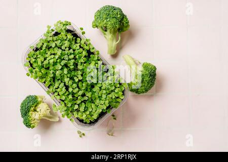 Broccoli sprouts and cabbage on pink background. Rich a phytochemicals sulforaphane and antioxidants with anti cancer and anti-inflammation action Stock Photo