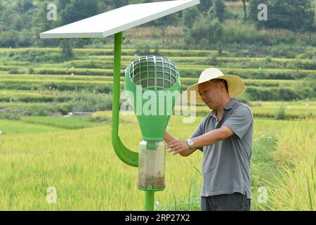 Big hot sale bug zapper