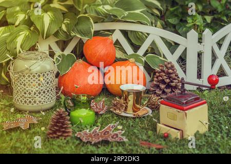 Autumn still life. Composition with hokkaido pumpkins, dried painted leaves, coffee in golden cup, coffee grinder and pine cones in the garden. Stock Photo
