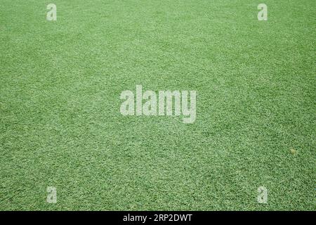 Artificial turf as background, North Rhine-Westphalia, Germany Stock Photo