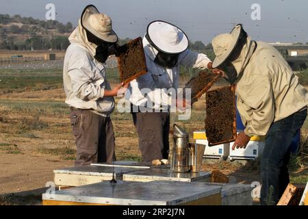 (180904) -- MODI IN, Sept. 4, 2018 -- Israeli beekeepers hold honeycombs on a field near Modi in, on Sept. 4, 2018. Apples dipped in honey are traditionally eaten on the upcoming holiday of Rosh Hashanah, the Jewish New Year. The Jewish New Year will start at sundown on Sunday, Sept. 9. ) MIDEAST-MODI IN-HONEY-ROSH HASHANAH GilxCohenxMagen PUBLICATIONxNOTxINxCHN Stock Photo