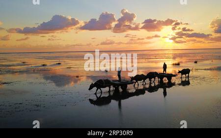 (180916) -- BEIJING, Sept. 16, 2018 -- Aerial photo taken on Sept. 9, 2018 shows the sunrise over the sea in Qidong City, east China s Jiangsu Province. ) (yxb) XINHUA PHOTO WEEKLY CHOICES XuxCongjun PUBLICATIONxNOTxINxCHN Stock Photo