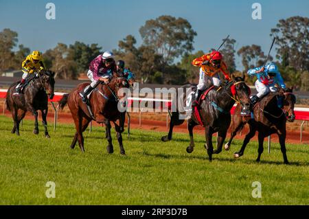Kalgoorlie Races Horse racing, Kalgoorlie Boulder Racing Club, Western Australia Stock ...