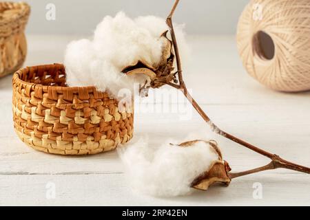 A branch of ripe cotton on a white wooden table surrounded by wicker baskets and a ball of cotton thread Stock Photo