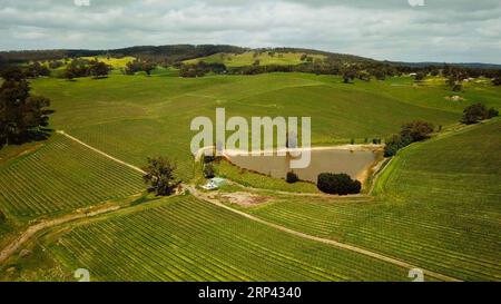 (181024) -- ADELAIDE, Oct. 24, 2018 -- Photo taken on Oct. 11, 2018 shows a Nova Vita vineyard in Lobethal, Australia. To winemaker Mark Kozned, the upcoming China International Import Expo is probably the most significant expo this year, where he expected to establish more relationships with customers in the Chinese market. TO GO WITH Australian winemaker sees enormous growth potential of Chinese market ) (zxj) AUSTRALIA-ADELAIDE-WINEMAKER-CHINESE MARKET PanxXiangyue PUBLICATIONxNOTxINxCHN Stock Photo