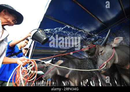 (181024) -- CHONBURI, Oct. 24, 2018 -- A man splashes water for buffalo before the buffalo racing in Chonburi, Thailand, Oct. 23, 2018. Hundreds of buffaloes took part in the centuries-old buffalo racing festival held annually in October among rice farmers to celebrate the rice harvest. ) THAILAND-CHONBURI-BUFFALO RACING RachenxSageamsak PUBLICATIONxNOTxINxCHN Stock Photo