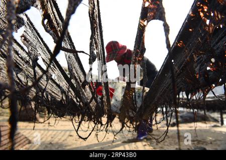 (181024) -- PUTIAN, Oct. 24, 2018 -- A woman harvests laver in the sun in Jiangshan Village of Putian, southeast China s Fujian Province, Oct. 24, 2018. Over 200 families cultivate laver at offshore marine farms in Jiangshan. Local farmers are busy harvesting 133 hectares of laver. )(mcg) CHINA-FUJIAN-PUTIAN-LAVER HARVEST (CN) JiangxKehong PUBLICATIONxNOTxINxCHN Stock Photo