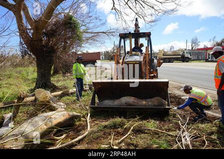 (181030) -- SAIPAN, Oct. 30, 2018 -- Workers clean the road outside Saipan International Airport, the Commonwealth of the Northern Mariana Islands (CNMI), Oct. 30, 2018. Super Typhoon Yutu, which hit the island territories overnight last Wednesday, caused extensive damage to critical infrastructure on Saipan and Tinian islands, including the Saipan airport. ) (djj) NORTHERN MARIANA ISLANDS-SAIPAN-TYPHOON GaoxShan PUBLICATIONxNOTxINxCHN Stock Photo