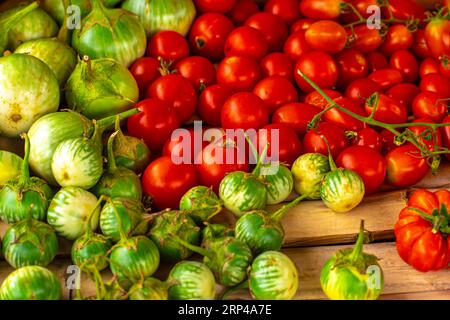 Abundant display of vibrant red tomatoes and small round striped green Thai eggplants mixed together on a rustic wood surface Stock Photo