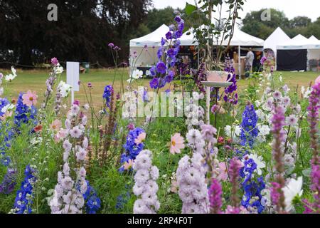 The second Gardeners World Autumn Fair at Audley End House and Gardens, Saffron Walden, Essex. Make it Flourish Together designed by Cara Thompson. Stock Photo