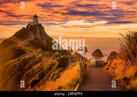 Nugget Point Lighthouse and the Nuggets, Otago,  a famous sight on the east coast of New Zealand. Stock Photo