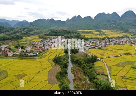 (181116) -- RONG AN, Nov. 16, 2018 -- Aerial photo taken on Nov. 16, 2018 shows scenery of rice fields in Daliang Town of Rong an County, south China s Guangxi Zhuang Autonomous Region. ) (sxk) CHINA-GUANGXI-RICE-SCENERY (CN) ZhouxHua PUBLICATIONxNOTxINxCHN Stock Photo