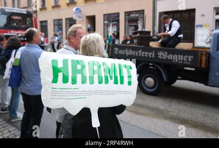 Aue Bad Schlema, Germany. 03rd Sep, 2023. A balloon with the inscription 'Haamit' (home in Erzgebirge) during the parade for the Day of the Saxons. Saxony's largest folk and home festival traditionally takes place on the first weekend in September. Credit: Sebastian Willnow/dpa/Alamy Live News Stock Photo