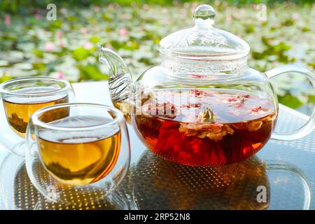 Closeup of a pot of rose tea with two cups of tea on garden table Stock Photo
