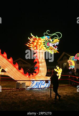 Buy Safari Ltd Horned Chinese Dragon Online at Low Prices in India -  Amazon.in