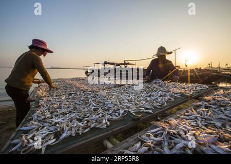 181129 -- JIUJIANG, Nov. 29, 2018 Xinhua -- Fish farmers dry lake anchovies by the side of Poyang Lake near the Yinshan Island in Duchang County, east China s Jiangxi Province, Nov. 28, 2018. Local fish farmers make the fish into air-dried products for sale on the winter market. Xinhua/Fu Jianbin gxn CHINA-JIANGXI-FISHERY-PRODUCTION CN PUBLICATIONxNOTxINxCHN Stock Photo