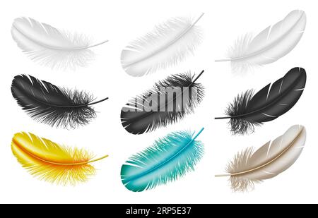 Realistic bird feathers. Detailed colorful feather of different birds. By  Microvector