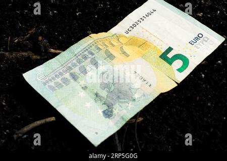 Coin and banknotes on black hot coal among ashes. Currency devaluated, finance and business concept Stock Photo