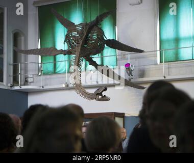 (181220) -- BUENOS AIRES, Dec. 20, 2018 -- Visitors admire replica of a ...