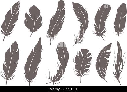 bird's feather graphic vector sketch Stock Vector Image & Art - Alamy