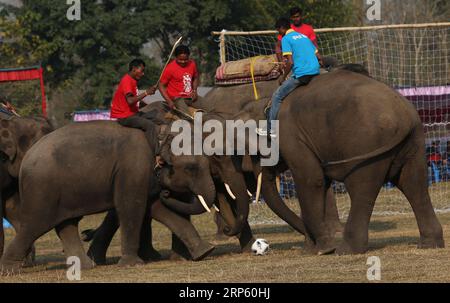 (181229) -- BEIJING, Dec. 29, 2018 -- Elephants play football during the 15th Elephant Festival in Sauraha, a tourism hub in southwest Nepal s Chitwan District, Dec. 28, 2018. The annual five-day event was organized to encourage wildlife protection and conservation, and to promote tourism in the region. ) XINHUA PHOTOS OF THE DAY XINHUA PHOTOS OF THE DAY sunilxsharma PUBLICATIONxNOTxINxCHN Stock Photo
