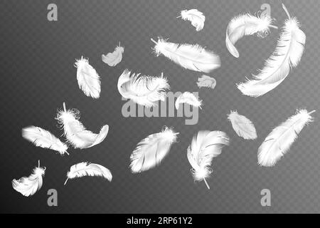 Realistic fluffy feathers falling twirled plumage Vector Image