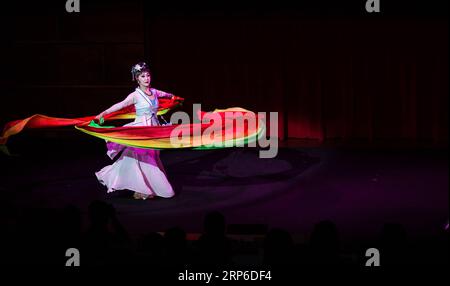 (190110) -- BEIJING, Jan. 10, 2019 (Xinhua) -- An actress performs during the event titled Experiencing China: the Nine Splendid Forms of Chinese Traditional Art in Rome, Italy, June 16, 2018. In November 2013, the 18th Central Committee of the Communist Party of China held its third plenary session to focus on comprehensively deepening reform. In the five years after the session, China has been carrying out cultural system reform, ushering in a new situation of socialist cultural construction in a new era with firm cultural confidence. (Xinhua/Jin Yu) CHINA-REFORM-CULTURAL CONFIDENCE(CN) PUBL Stock Photo