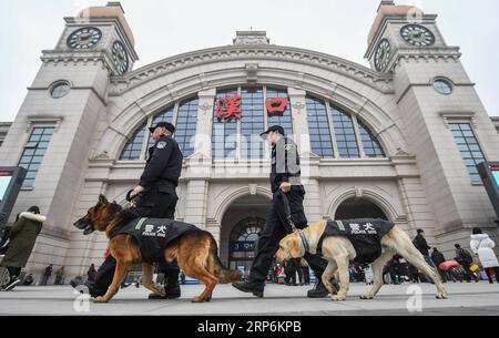 (190116) -- WUHAN, Jan. 16, 2019 (Xinhua) -- Police dogs Pi Te (R) and Heng Heng are led by trainers at the Hankou Railway Station in Wuhan, capital of central China s Hubei Province, Jan. 15, 2019. Pi Te , a Labrador for searching for explosive devices, was born in March 2018. It has been trained for 10 months and will cooperate with German shepherd Heng Heng for railway safety during the upcoming Spring Festival travel rush. (Xinhua/Cheng Min) CHINA-HUBEI-WUHAN-POLICE DOG-TRAINING (CN) PUBLICATIONxNOTxINxCHN Stock Photo