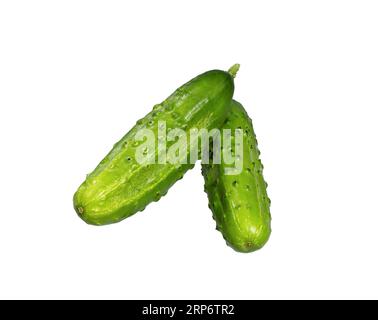 Cucumbers isolated on white background. Fresh green cucumber natural vegetables organic food. Stock Photo