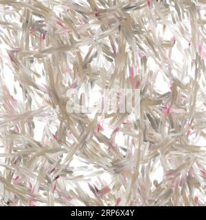 Beige, grey and red brush strokes on the white background. Oil painting texture. seamless pattern. Pattern for wrapping, textile, print. Stock Photo