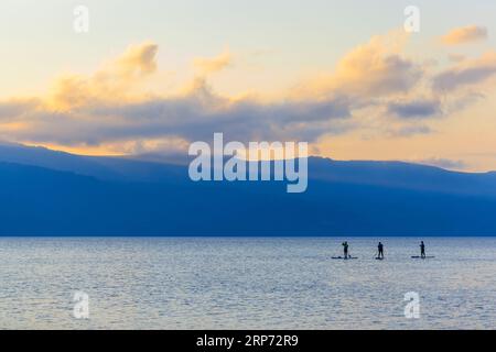 Hokkaido, Japan - August 25, 2023: Three stand up paddle boarders silhouetted on calm lake at sunset Stock Photo