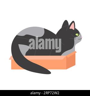 Funny cat sitting in carton box. Best place for sleeping for cats, playful furry kitten cartoon vector illustration Stock Vector