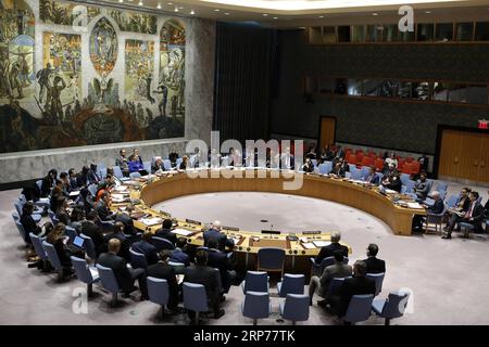(190131) -- BEIJING, Jan. 31, 2019 -- The United Nations Security Council holds a meeting on the situation in Syria, at the UN headquarters in New York Jan. 30, 2019. ) XINHUA PHOTOS OF THE DAY LixMuzi PUBLICATIONxNOTxINxCHN Stock Photo