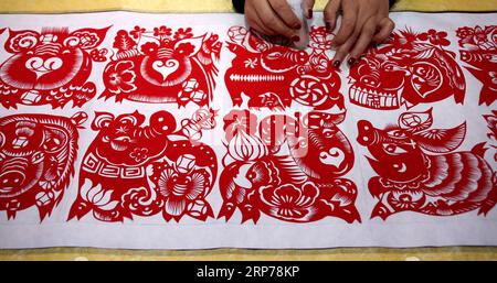 (190131) -- ZAOZHUANG, Jan. 31, 2019 (Xinhua) -- Folk artist Shi Hongxia creates a pig-themed paper cutting artwork at home in Tengzhou City, east China s Shandong Province, Jan. 31, 2019. Shi has spent two months to create the artwork, which is 9 meters long and features 100 pig figures, to greet the coming of the Year of the Pig. (Xinhua/Sun Zhongzhe) CHINA-SHANDONG-SPRING FESTIVAL-PAPER-CUTTING ARTWORK (CN) PUBLICATIONxNOTxINxCHN Stock Photo