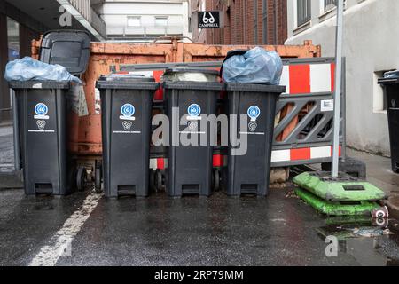 Symbolic image, city cleaning, waste disposal, recycling, bins for residual waste filled with rubbish bags at the roadside in Hamburg, Germany Stock Photo