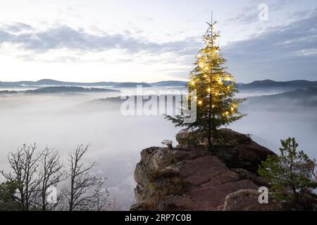 Exhilarating sunrise at the Wachtfelsen. Magical morning mist, clouds and a Christmas tree in the morning light, Wernersberg, Palatinate Forest Stock Photo