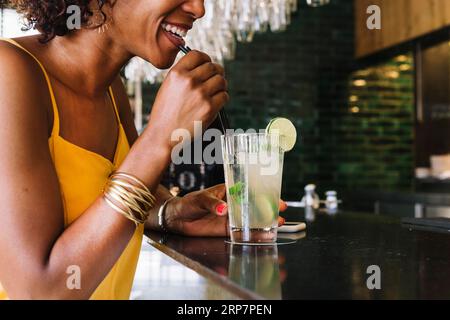 Smiling young woman drinking mojito bar counter restaurant Stock Photo