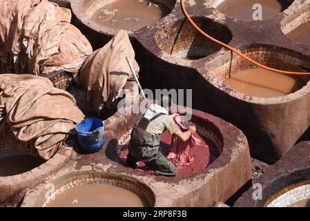 (190303) -- MOROCCO, March 3, 2019 -- A worker is seen at a tannery in the old city of Fez, Morocco, on March 2, 2019. Tanneries in the old city Fez are one of the city s most iconic sights, offering people a unique window into the natural process of producing leather goods using traditional methods. ) MOROCCO-FEZ-TANNERY Chadi PUBLICATIONxNOTxINxCHN Stock Photo