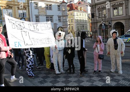 (190315) -- PRAGUE, March 15, 2019 -- People join the global Fridays for Future initiative in Prague, capital of the Czech Republic, on March 15, 2019. Hundreds of students gathered here on Friday to join the global Fridays for Future initiative, calling on politicians to tackle the effects of climate change. ) CZECH REPUBLIC-PRAGUE-STUDENTS-CLIMATE CHANGE-PROTEST DanaxKesnerova PUBLICATIONxNOTxINxCHN Stock Photo