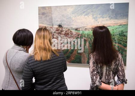 (190316) -- VILNIUS, March 16, 2019 -- Visitors view a creation during an exhibition Chinese Xieyi. Selected Works from the National Art Museum of China at the National Gallery of Art in Vilnius, capital of Lithuania, March 15, 2019. The exhibition displays 73 pieces of artworks by 28 Chinese artists working with various traditional techniques, including 26 pieces of artwork kept by the museum. Xieyi, or freehand brushwork, is an important feature of Chinese art based on an intuitive representation of the artist s inner knowledge and intellectual experience. Visitors to the exhibition will hav Stock Photo
