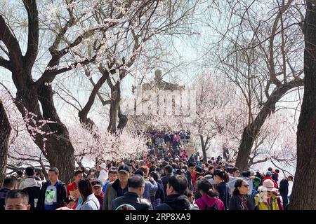 (190317) -- BEIJING, March 17, 2019 -- Photo taken with a mobile phone shows tourists visiting the Summer Palace in Beijing, capital of China, March 17, 2019. ) (BeijingCandid)CHINA-BEIJING-SPRING-PARKS ZhangxHaofu PUBLICATIONxNOTxINxCHN Stock Photo