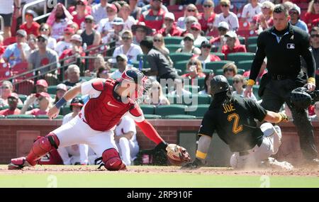 JUN 06, 2017: MLB home plate umpire Carlos Torres #37 during an interleague  MLB game between the New York Mets and the Texas Rangers at Globe Life Park  in Arlington, TX Texas