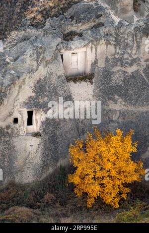 Rock formations 'Fairy Chimneys' in the town of Göreme, Cappadocia, Turkey Stock Photo