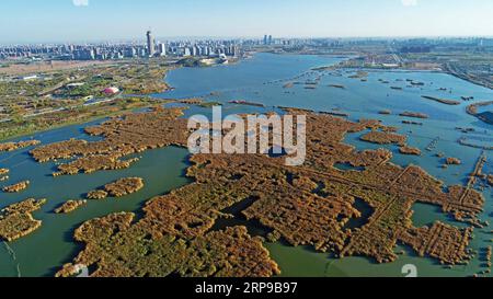 190401 -- BEIJING, April 1, 2019 Xinhua -- Aerial photo taken on Oct. 22, 2018 shows autumn scenery of Yuehai wetland in Yinchuan, northwest China s Ningxia Hui Autonomous Region. The city of Wuhan in central China s Hubei Province will apply for the 2021 Wetland City Accreditation of the Ramsar Convention, the municipal forestry bureau announced. The announcement was made as the city joined the global Earth Hour campaign Saturday night by turning off lights on major landmarks. Wuhan, which sits at the confluence of the Yangtze River and its longest tributary Han River, boasts about 1,624 squa Stock Photo