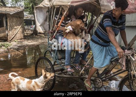 Ashari store dog hospital