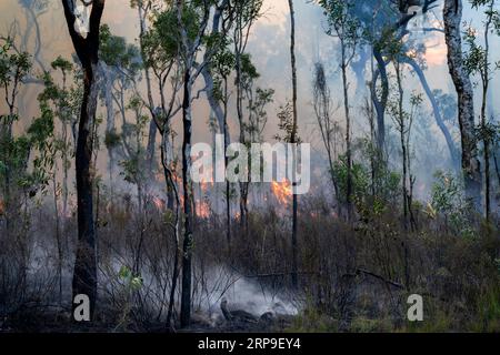 Smoke and flames rising from burnt bushland after controlled burn.  Maryborough, Queensland, Australia Stock Photo